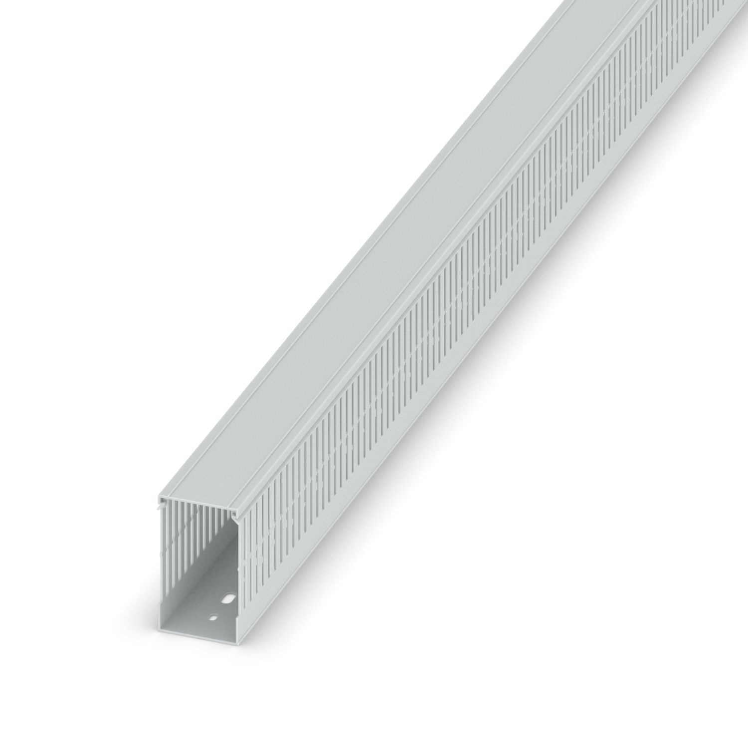 CD-HF 50X80 CN